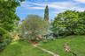 back garden