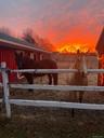 Stunning sunrises