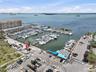 The Marina in Downtown Dunedin