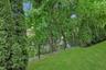 Surrounded by mature evergreens for privacy, the backyard provides a beautiful outdoor setting with level lawn space for recreation, pets, and play.