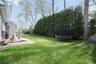 Backyard view