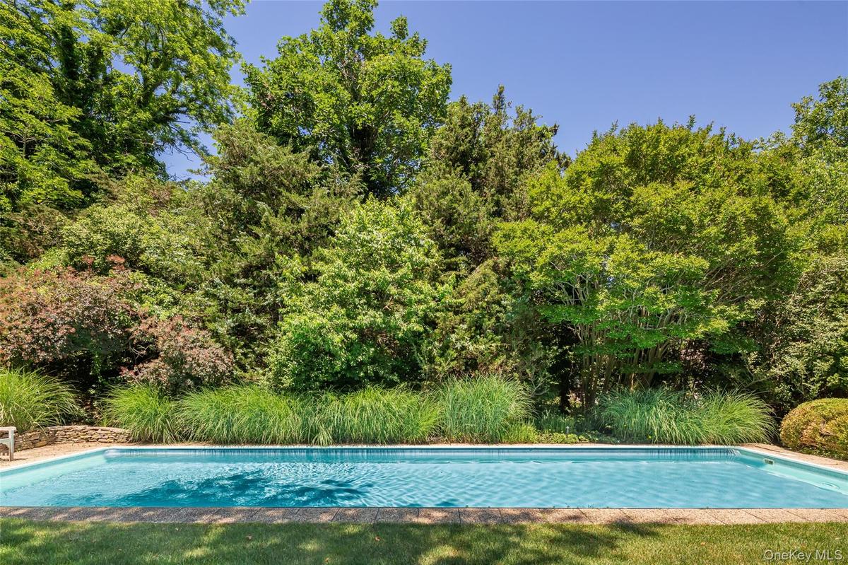 In-ground swimming pool with a stone coping border, surrounded by mature trees and lush landscaping