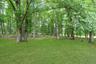 Level yard with the privacy, mature trees