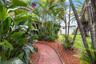 Tropical Entrance