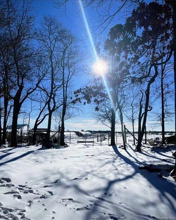 View of yard layered in snow