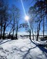 View of yard layered in snow