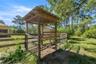 Chicken Coop