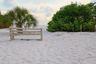 Toes belong here, come to the concerts and picnics planned for the Lido Shores members...