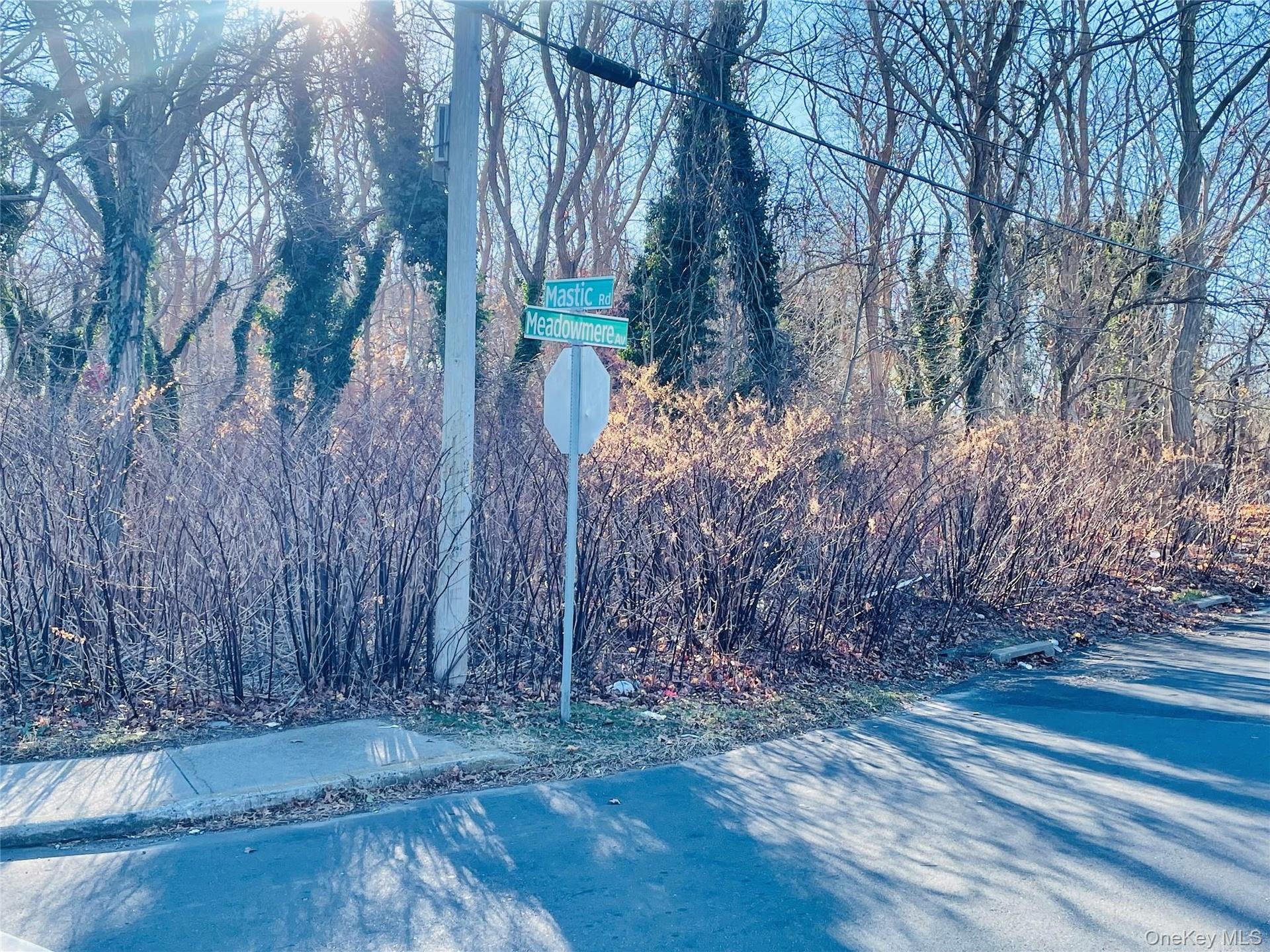 Exterior view of a heavily wooded area