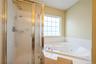 Stand-up shower and Jacuzzi tub