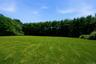 Expansive flat lawn surrounded by large trees for the ultimate privacy