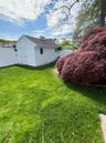 Expansive green lawn with a white vinyl fence and mature red-leafed tree