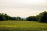 View of nature featuring a mountain view and a rural view