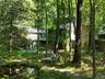 Dappled sunlight on serenity