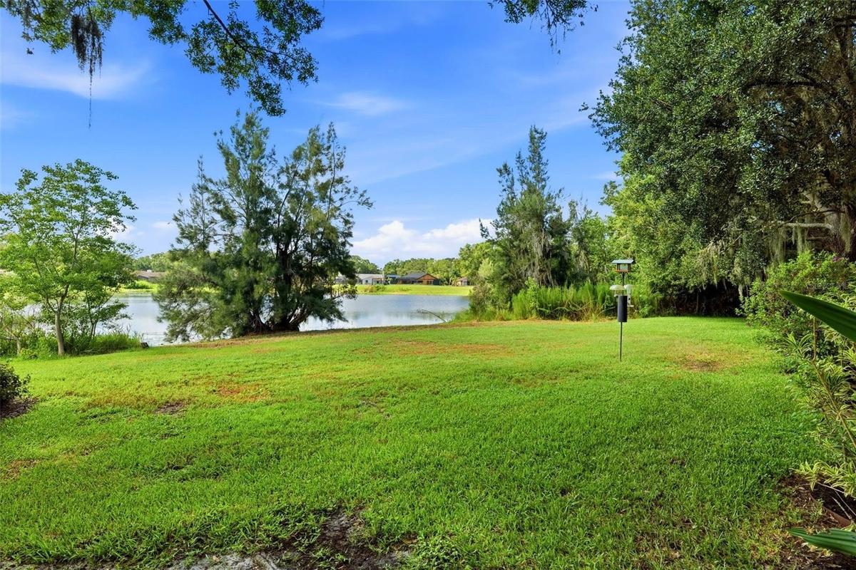 Lake view