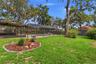 Lots of green space in backyard