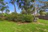 West corner of the back yard