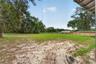 Backyard 5