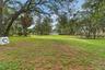 Backyard 2