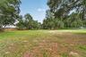 Backyard 4
