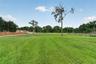 Backyard 1
