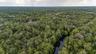 Alafia River