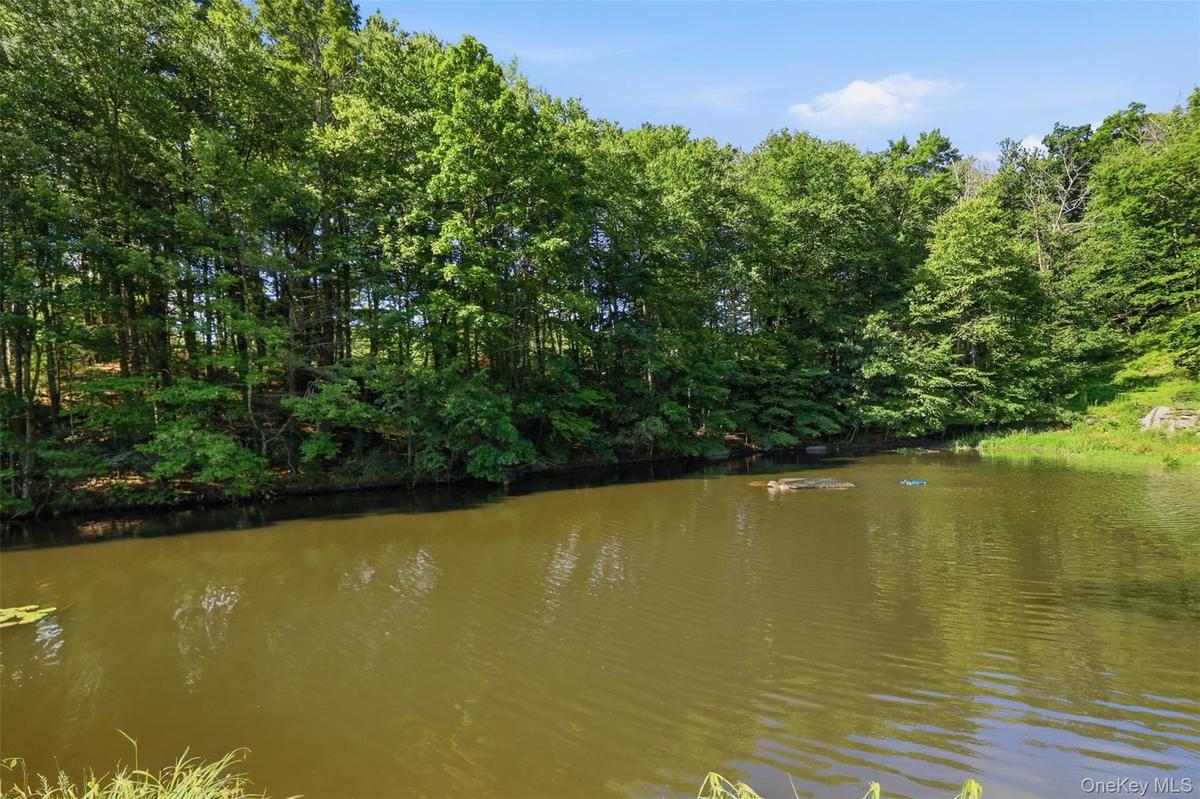 Pond rights
