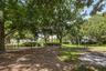 Community Park
