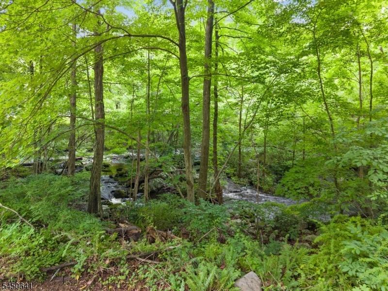 Natural brook behind home