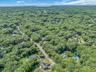 Sprawling wooded estate featuring multiple residences nestled among mature trees, private driveways, and expansive grounds