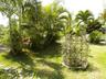 Grounds