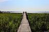 walk way to your own bay beach
