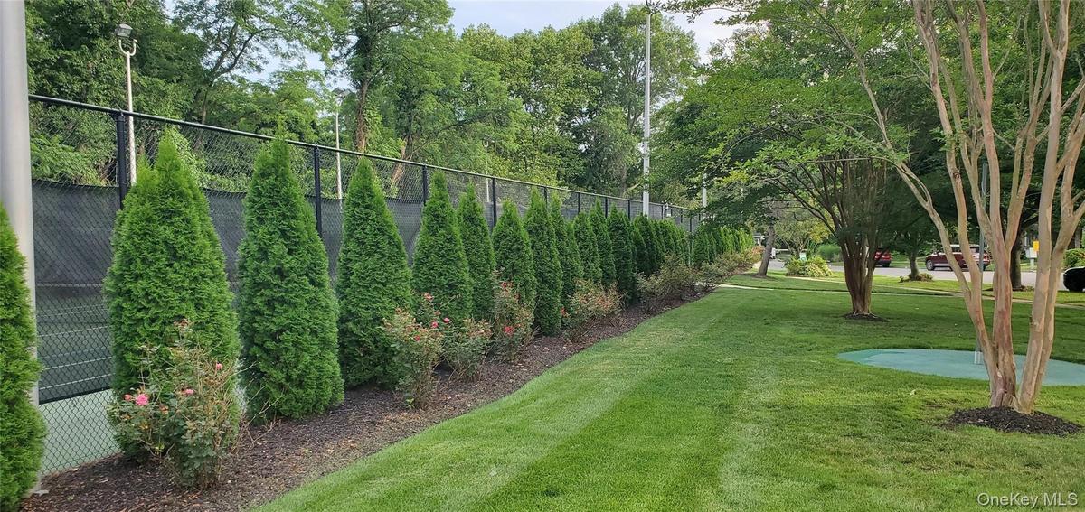 Lighted Tennis courts