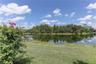 Backyard and pond