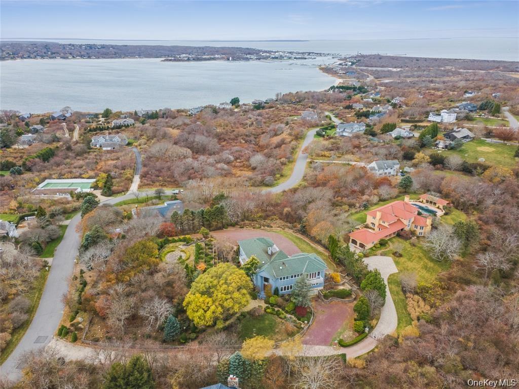 Expansive property featuring a vibrant blue exterior and green roofing, surrounded by mature trees
