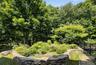 Flower Garden