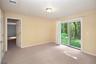 Basement Living Room