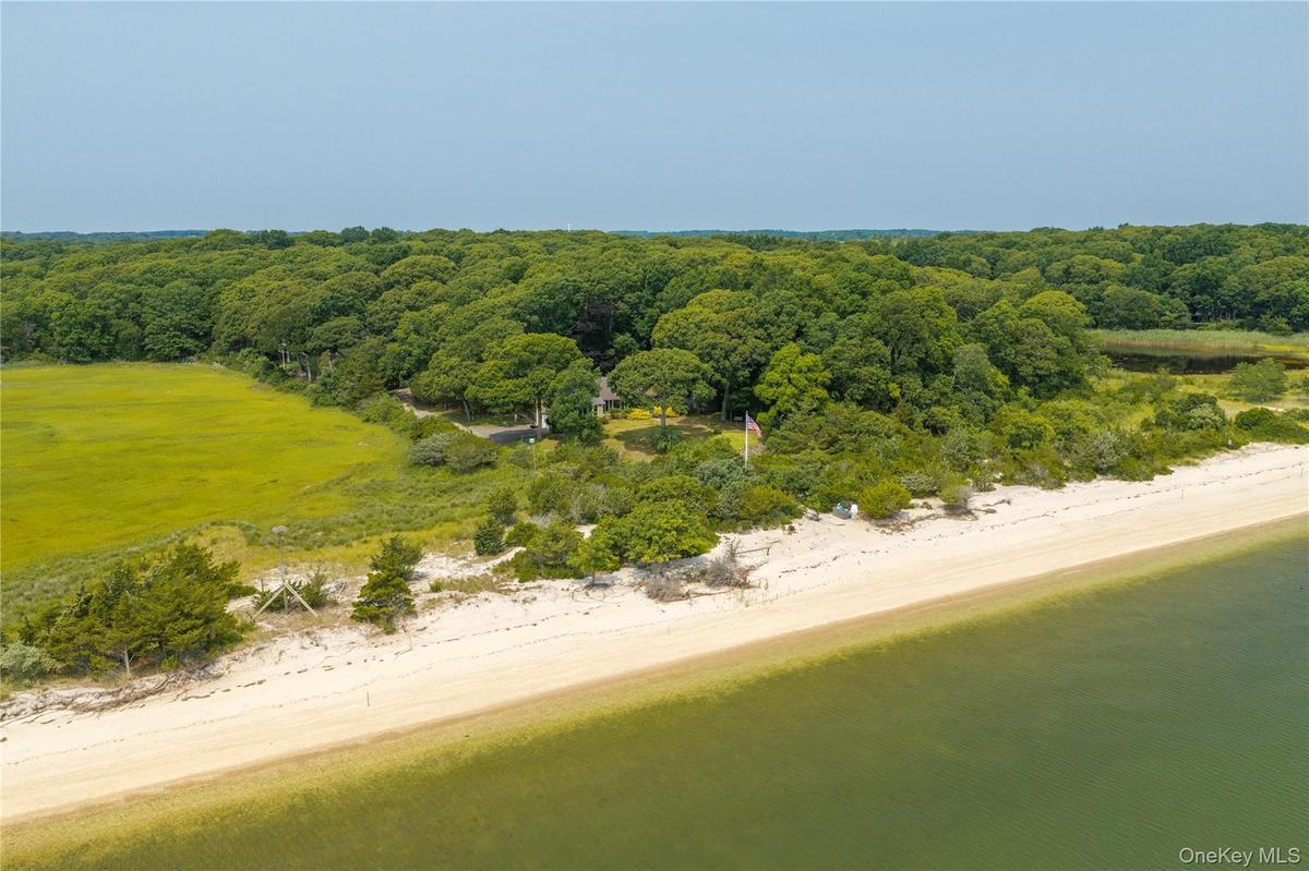 Expansive waterfront property featuring a sandy beach, mature tree line, and tranquil bay
