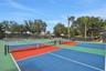 Pickleball