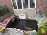 Water filter fish pond