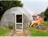 Green House