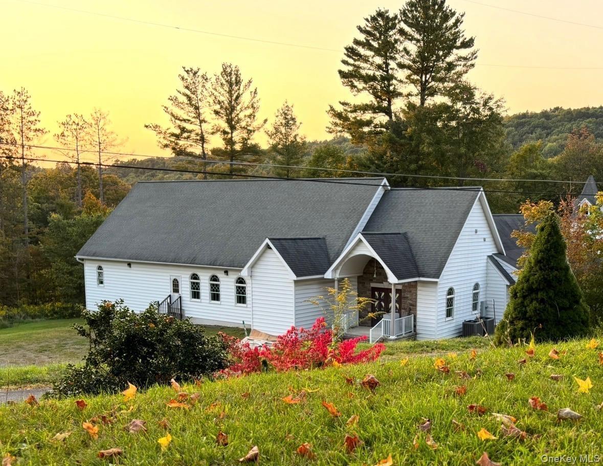 Back View