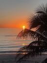 Sunset from the front porch!