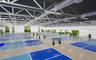 courts rendering