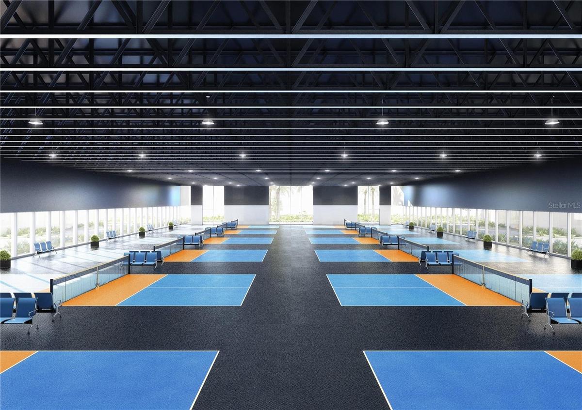 pickleball rendering