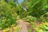 Garden path.