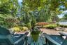 Serene Bacyard