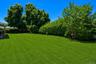 Expansive lawn area featuring a bright green, level surface and mature perimeter trees