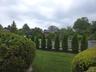 Manicured side with mature shrubs and Evergreen Arborvitae