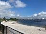 Davis Islands Dog Park
